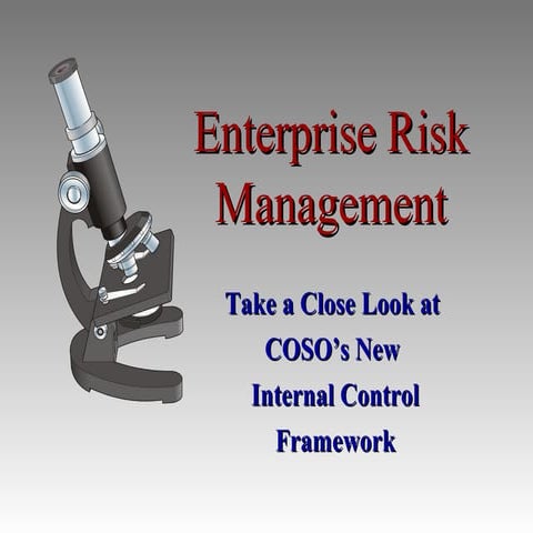 Enterprise risk-mgmt[1]