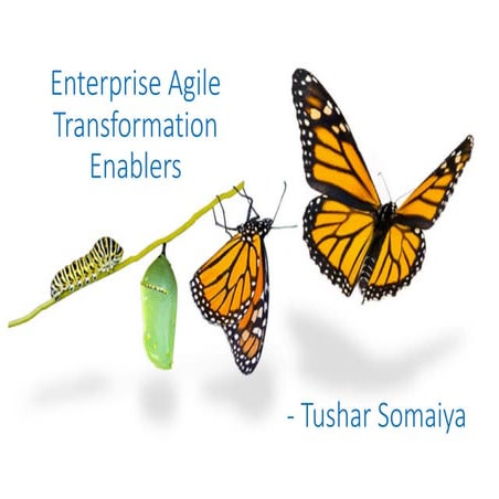 Enterprise Agile Transformation Enablers