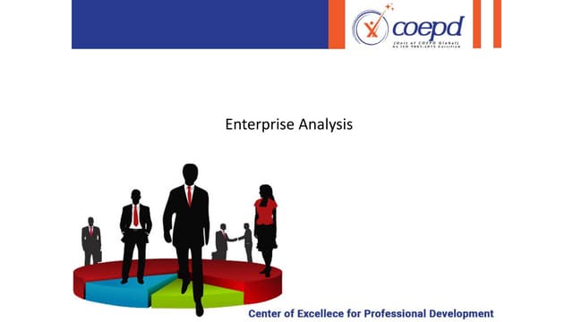 Enterprise analysis