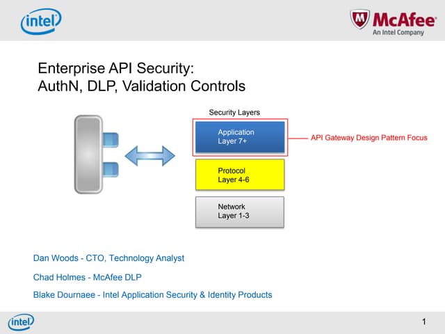 Enterprise API Security & Data Loss Prevention - Intel