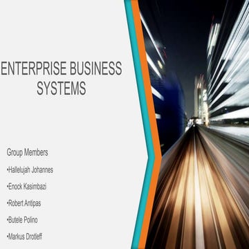 Enterprise business systems - Information technology