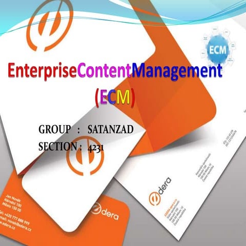 Enterprise Content Management (Ecm)(1)