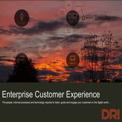 Enterprise Customer Experience - DRI