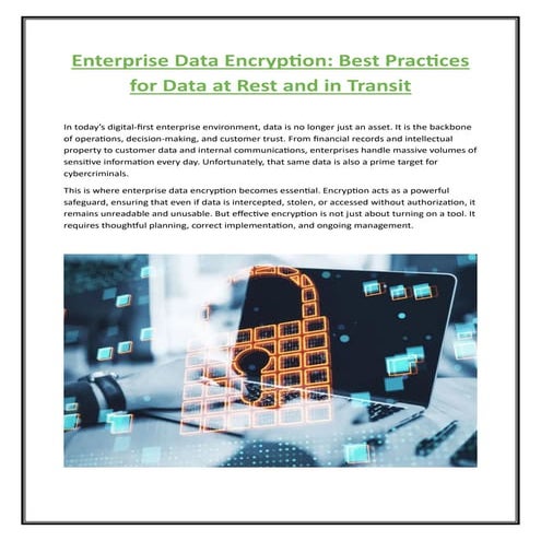 Enterprise Data Encryption: Key Strategies for Data at Rest and in ...