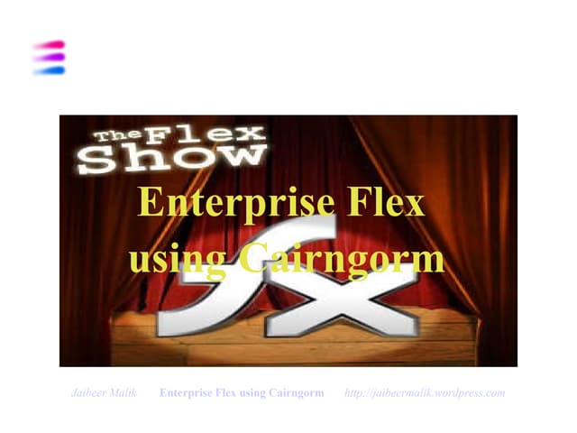Enterprise Flex Using Cairngorm