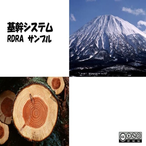 基幹システム　RDRAモデル