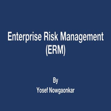 Enterprise Risk Management.pdf