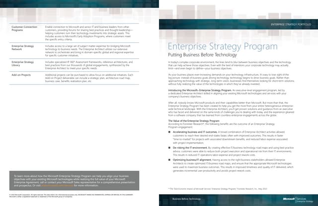Enterprise Strategy Program