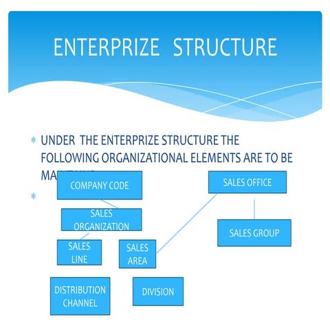 Enterprize   structure