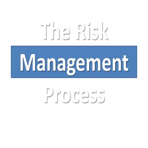 Entetrprise risk  management process