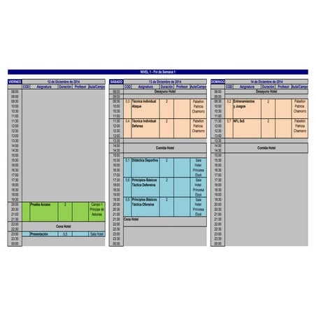 Entfa horarios curso nivel 1   pinto