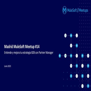 Entiende y mejora tu estrategia B2B con Partner Manager - MuleSoft Madrid Mee...