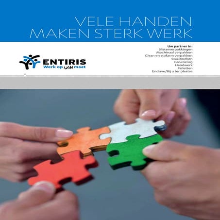 Entiris Bedrijfsbrochure | PDF