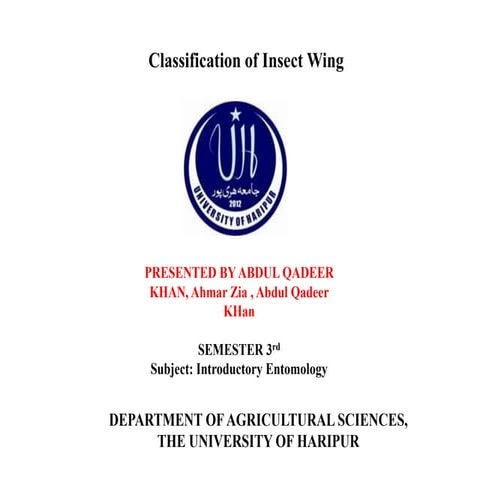 Classification insect wing