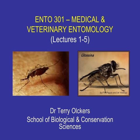ENTO 301 – MEDICAL & VETERINARY ENTOMOLOGY (Lectures 1-5) 	 ENTO 301 – MEDICA...