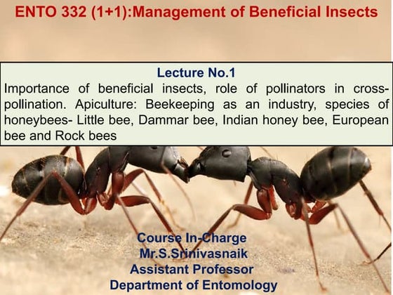 Moulting in Insect by sami | PPT