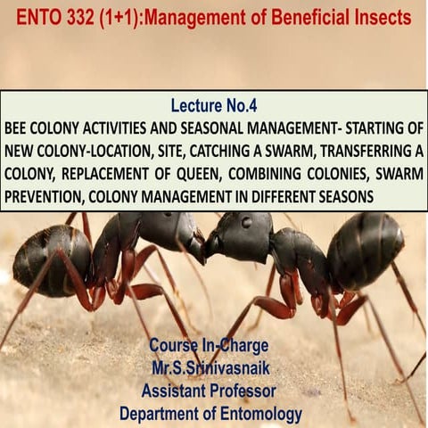 ENTO 332_Lec No.4_Bee Colony Activities - Copy.pptx