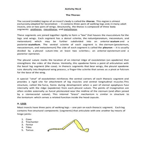 Entomology (Insect Parts)