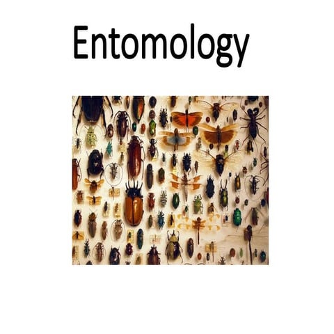 Entomology-1.pptx power point on entomology