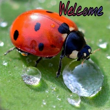 Economic consideration of integrated pest management