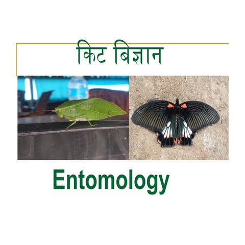 Entomology life cycle of insects .pptx