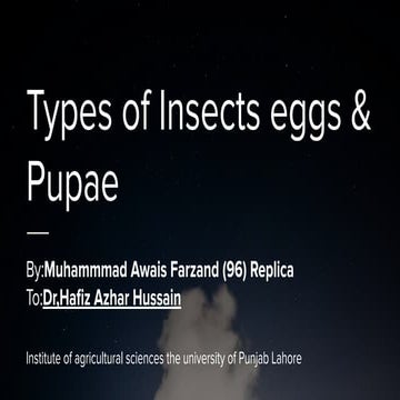 Types of Insects eggs and Pupae slideshare