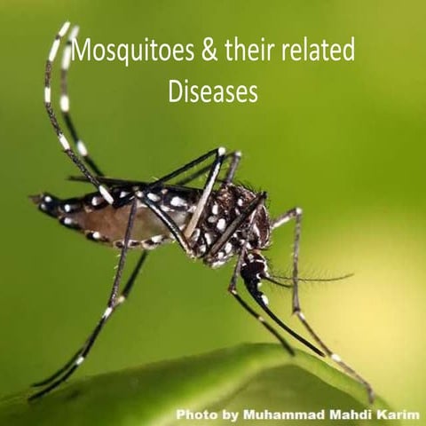 MEDICAL ENTOMOLOGY AND VECTOR SCIENCES MERGED sssss.pptx