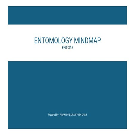Entomology Mindmap for students to look out.pdf