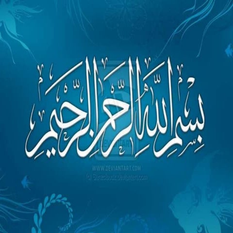 Order Plecoptera & Grylloblattodea