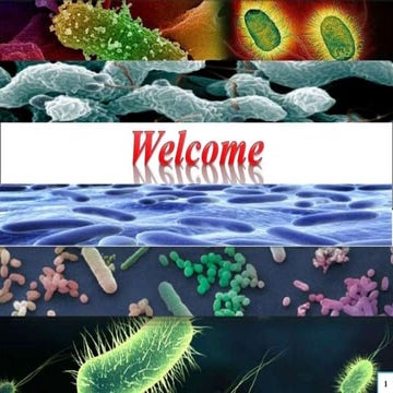 Entomopathogenic fungi