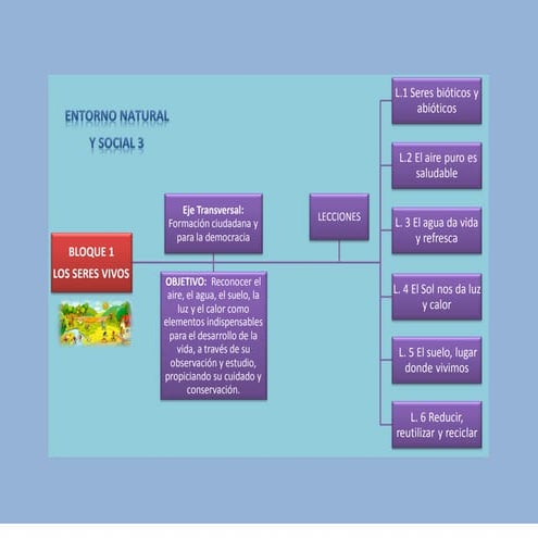 Entorno natural y social 3 | PDF