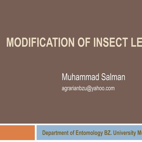 Ambulatory & Cursorial legs modification of Insects by M.Salman