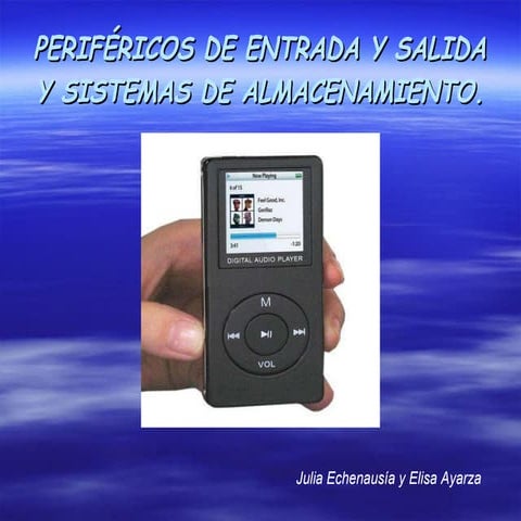 Entrada salida almacenamiento