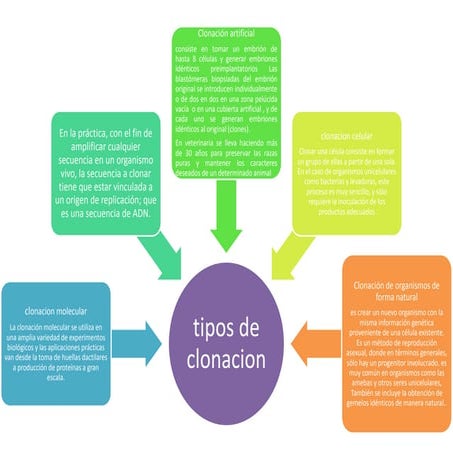 tipos de  clonacion 