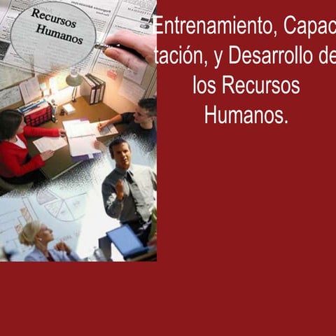 Entrenamiento, Capacitación y Desarrollo de los RRHH