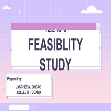 Entrepreneurship FEASIBILITY STUDY chapter 9