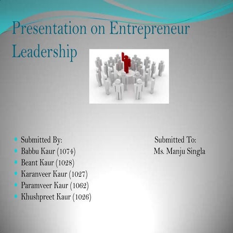 Entrepreneur leadership