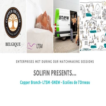 Solifin's activity report 2021 | PDF