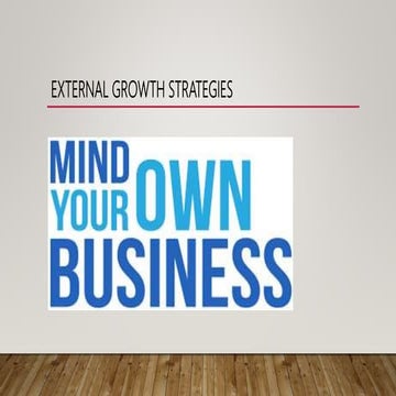 EXTERNAL GROWTH STRATEGIES