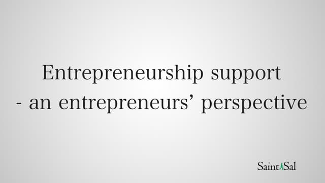 Entrepreneurship support - an entrepreneur's perspective