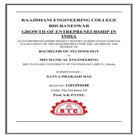 Entreprenunership project pdf