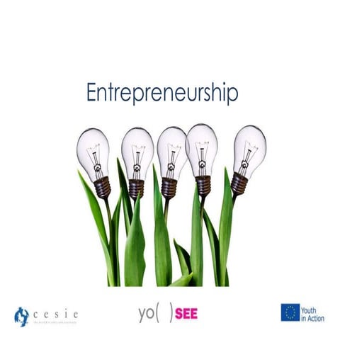 Entrepreunership in practice