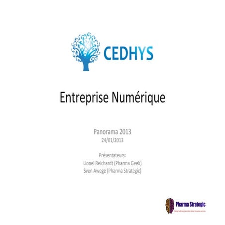 Entreprise numerique panorama 2013 cedhys