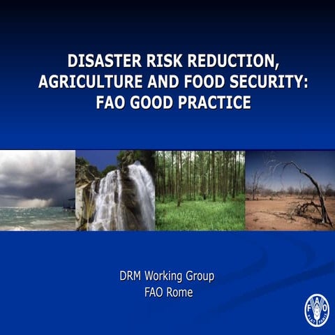 Disaster Risk Reduction in Agriculture and Food Security: FAO Good ...