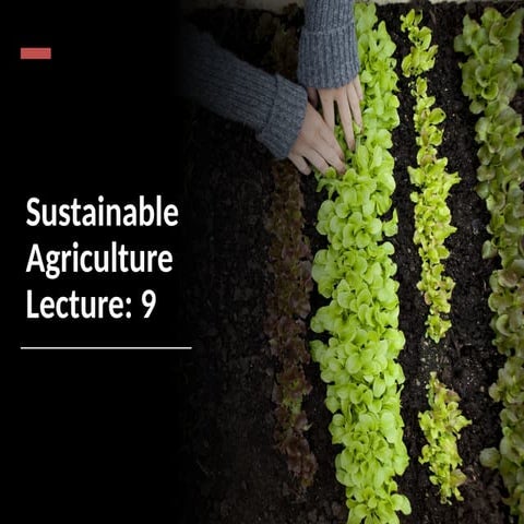 ENV_107_Lecture 9_Sustainable Agriculture.pptx
