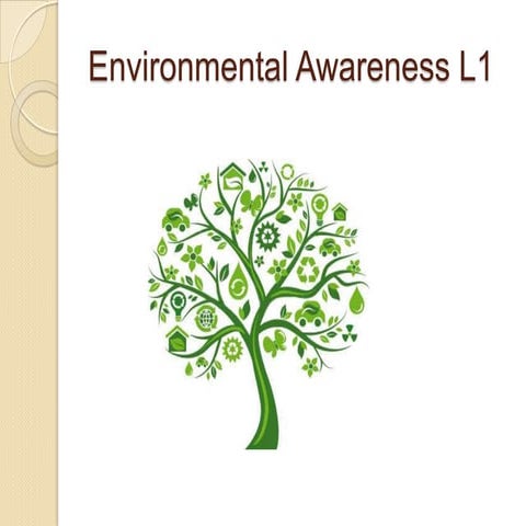 Environmental Awareness Presentation
