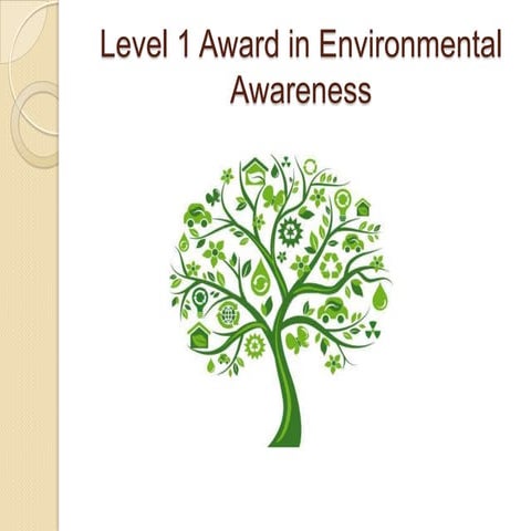 Environmental Awareness Presentation