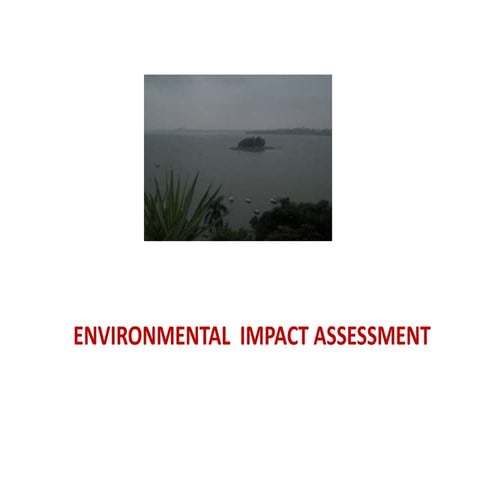 Environmental Impact Assessment