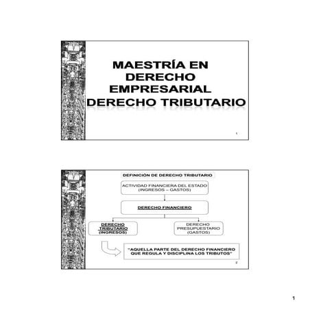 DIAPOSITIVAS - DERECHO TRIBUTARIO