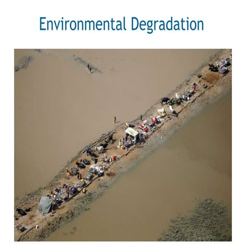 ENVIRONMENTAL DEGRADATION – CONCEPT, CLASSES AND LINKAGES